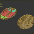Brown Trilobite Sculptures With Intricate Surface Texture And Artistic Carving Details