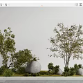 Garden Ornamental Display Featuring Trees Shrubs Large Stones And Green Grass