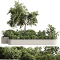Concrete Planter With Tree And Various Lush Green Plants Arrangement