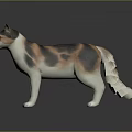 Calico Cat with Yellow Eyes in Standing Pose Against Dark Background Showing Smooth Fur