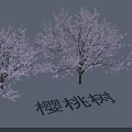 Scenic Garden Landscape Design With Beautiful Blooming Cherry Trees And Pink Blossoms