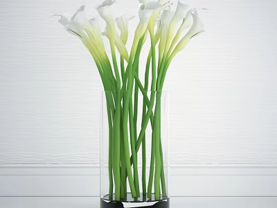 White Calla Lilies In Transparent Vase With Green Stems Against White Wall 3d model