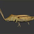 Detailed Orange Yellow Mantis With Long Legs On Dark Reflective Background