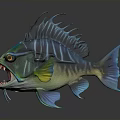 Colorful Tropical Fish With Open Mouth Sharp Teeth And Vibrant Fins Design