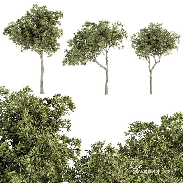 Garden Decor Features With Three Trees In Various Shapes And Lush Green Shrubs 3d model 