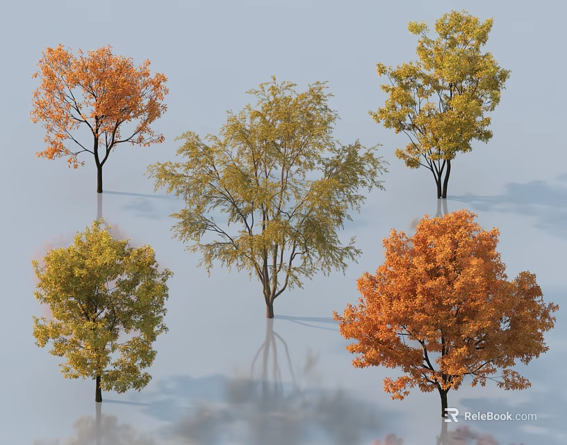 Various Colorful Arbor Trees with Orange Yellow Green Foliage and Smooth Surface Reflections 3d model 