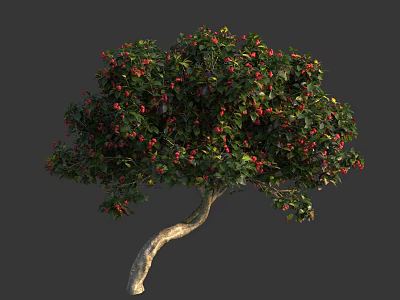 Lush Green Bush with Red Berries and Curved Trunk in Natural Setting 3d model