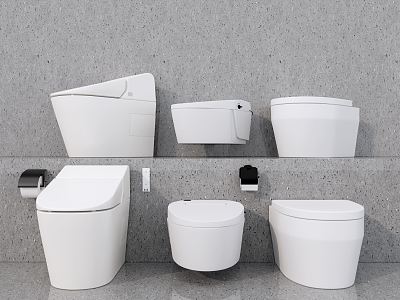 Modern Toilet model