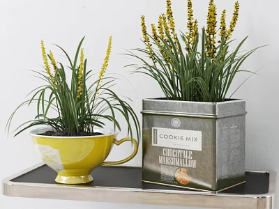 Stylish Bonsai Potted Plants in Yellow Cup and Metal Cookie Mix Box on Tray 3d model