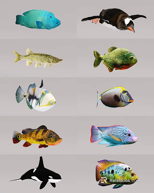 Colorful Aquatic Animals Showcasing Different Fish Species With Vibrant Patterns And Forms 3d model 
