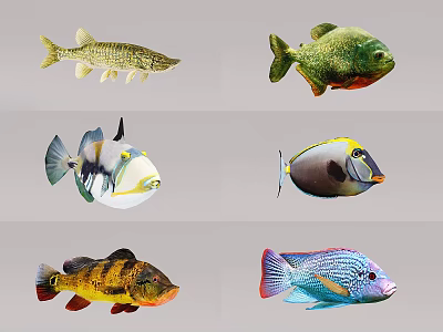 Colorful Aquatic Animals Showcasing Different Fish Species With Vibrant Patterns And Forms 3d model