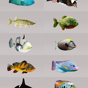 Modern Fish 3d model