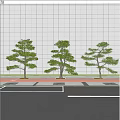 Three Shaped Pine Trees Against Gray Wall With Red Bricks And Gray Pavement