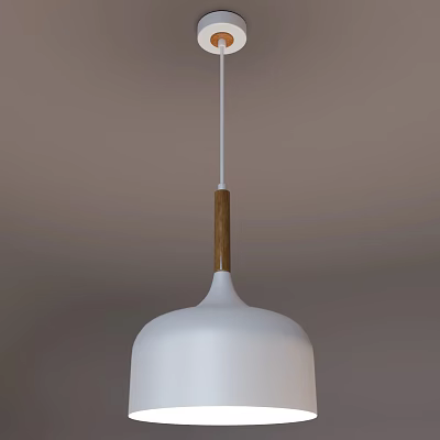 Modern White Pendant Light With Wooden Stem For Minimalist Interior Design 3d model