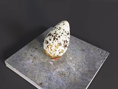 Flying Bird Quail Egg With Natural Spots On Square Metal Plate 3d model