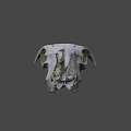 Animal Skull With Large Curved Horns And Detailed Bone Structure Isolated On Dark Background
