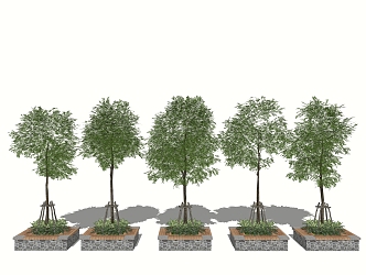 Modern Tree Landscape Tree Greening Trees 3d model