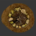 Natural Stacked Arbor Branches Forming Campfire Surrounded by Stones on Earthy Ground