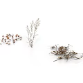 Three Bundles of Dried Plants with Leaves and Branches on White Background