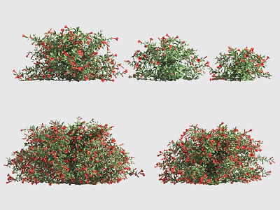 Various Garden Shrubs With Green Leaves And Red Berries In Different Shapes 3d model