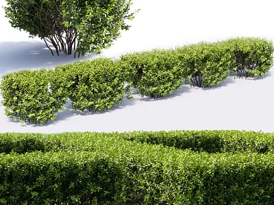 Different Types of Green Shrubs Including Neat Hedges for Garden Landscaping 3d model