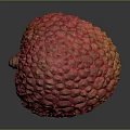 Fresh Red Lychee Fruit With Rough Texture On Dark Reflective Surface 3d model