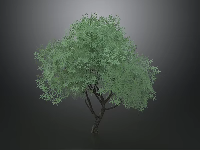 Lush Green Tree with Dense Foliage and Dark Trunk Standing Against Gray Backdrop 3d model