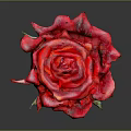 Vibrant Red Rose Flower With Green Stem And Leaves On Gray Background