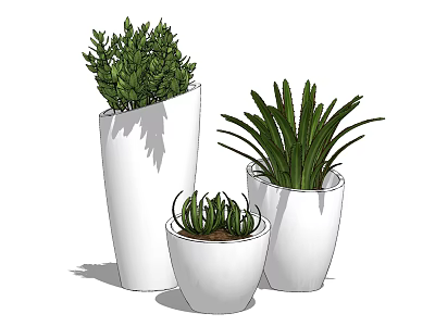 Stylish Potted Plants in White Pots with Various Green Leaves for Indoor Decor 3d model