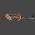 Whole Fresh Seafood Crab With Colorful Rubik's Cube On Gray Surface