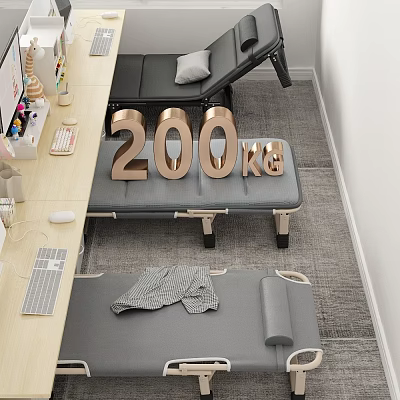 Modern Gray Single Bed With 200kg Capacity And Sturdy Design Features 3d model