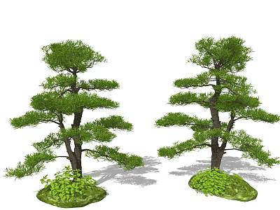 Arbor Trees With Lush Green Foliage And Sturdy Trunks For Landscape Decoration 3d model
