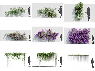 Various Climbing and Hanging Flowering Vines with Purple Flowers for Wall and Pergola Decoration 3d model