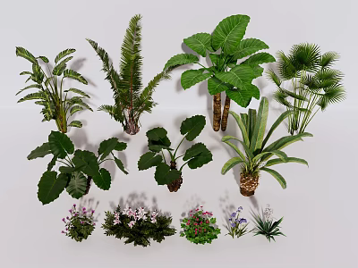 Indoor Plant Combination With Various Green Leaves And Small Flowers Decor 3d model