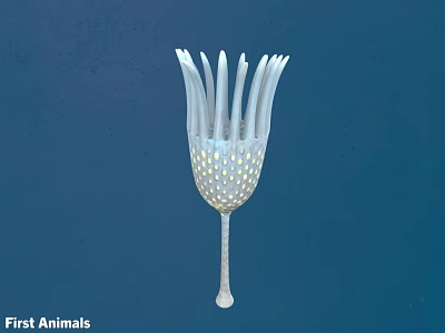 First Animals Decorative Vase Like Object With Petal Structure And Small Dots 3d model