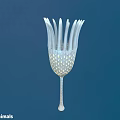 First Animals Decorative Vase Like Object With Petal Structure And Small Dots