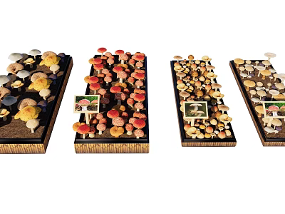 Different Types of Mushrooms Display on Wooden Trays with Small Labels 3d model