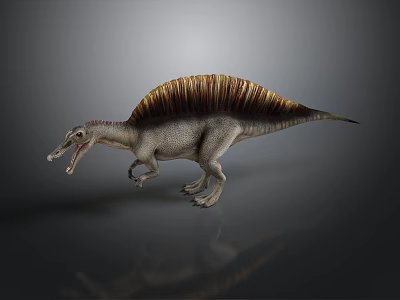 Realistic Spinosaurus Dinosaur 3D Model With Brown Sail And Open Mouth 3d model