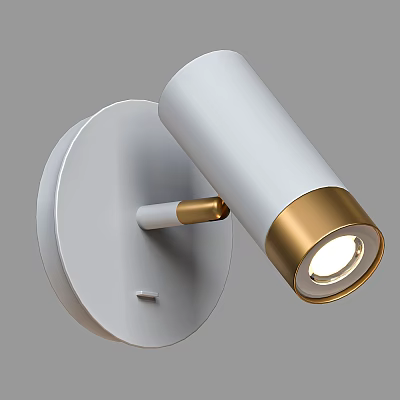 Modern Wall Mounted Downlight Spotlight With White Design And Golden Details 3d model