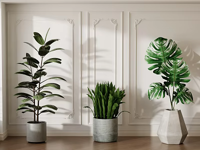 Indoor Potted Plants With Various Leaf Shapes In Stylish Planters On Decorative Wall Wooden Floor 3d model