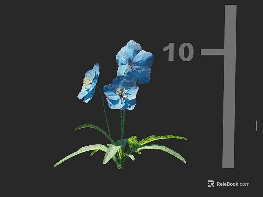 Blooming Vibrant Blue Flowers With Fresh Green Leaves And Delicate Stems On Black Background 3d model 