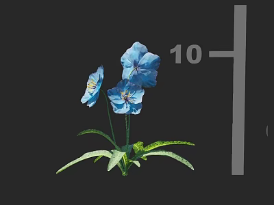 Blooming Vibrant Blue Flowers With Fresh Green Leaves And Delicate Stems On Black Background 3d model