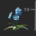 Blooming Vibrant Blue Flowers With Fresh Green Leaves And Delicate Stems On Black Background