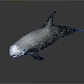 Game Movie Swimming Orca Character With Gray White Black Cracked Body Texture