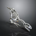 Detailed Dinosaur Skeleton 3D Model With Realistic Anatomical Structure And Scientific 3d model