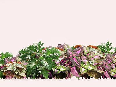 modern shrub flower border plant cluster 3d model