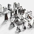Various Sports Equipment Including Treadmill Exercise Bike Barbell Rack Weight Machine For Fitness Training