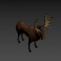 Realistic Moose With Large Antlers Brown Body Standing On Light Background