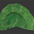 Green Sculpture Carving Featuring Fan Shaped Design With Intricate Leaf Patterns And Glossy Texture