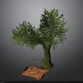 Outdoor Garden Setup With Green Tree Swing Red Mat And Items
